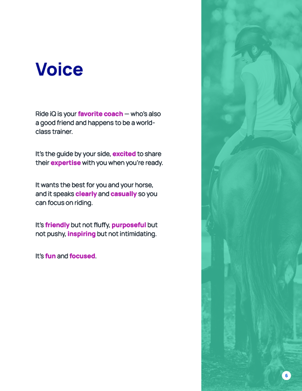 Ride iQ Brand Guide