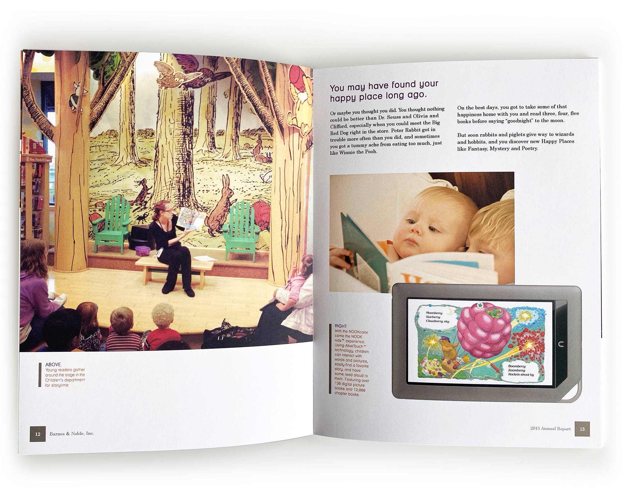 B&N Annual Report